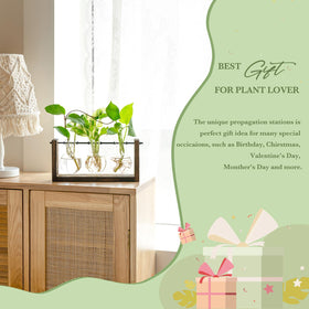 Mkono wall-hanging glass vases provide a stylish home office display.