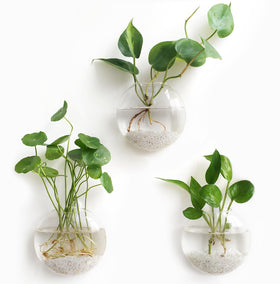 Mkono wall-hanging propagation station glass vase for hydroponics display