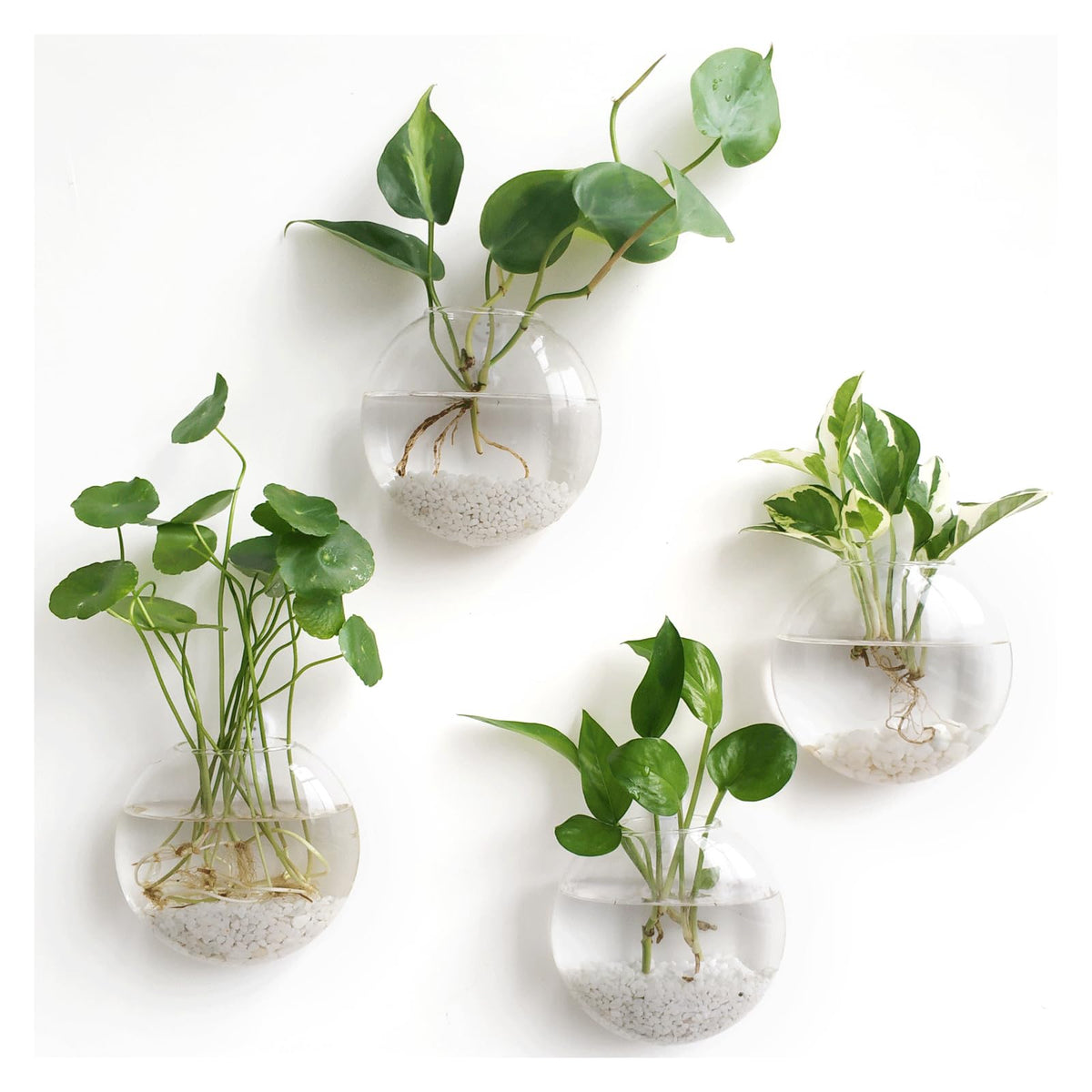 Mkono wall hanging planter propagation station in glass vase for stylish hydroponics decor