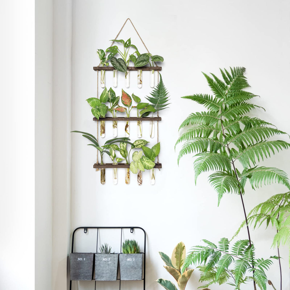 Mkono wall-mounted propagation station to enhance window sill decor and plant care.