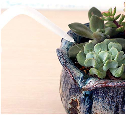 Mkono white-cap watering can for tidy indoor plant care.