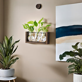 Mkono wooden frame with metal bar simplifies setup and watering.