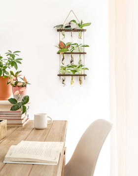 Wooden stand from Mkono provides sturdy propagation station support.