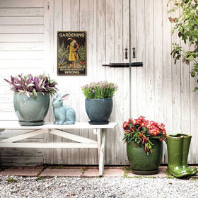 MOLESS 12x8-inch sign is compact yet bold, perfect for patios or greenhouses