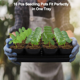 Mlhezy BPA-free seedling cups ensure safe, plant-friendly use.