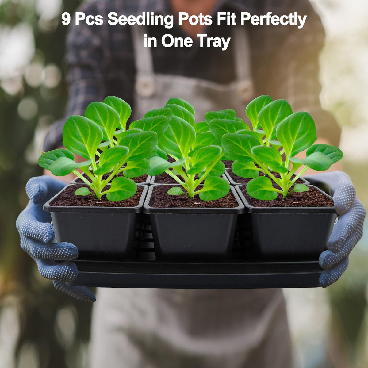 Mlhezy BPA-free seedling cups ensure safe handling and healthy beginnings.