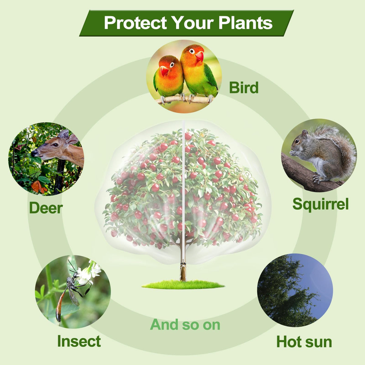 Mlhezy deer and bird proof netting guarding outdoor fruit crops