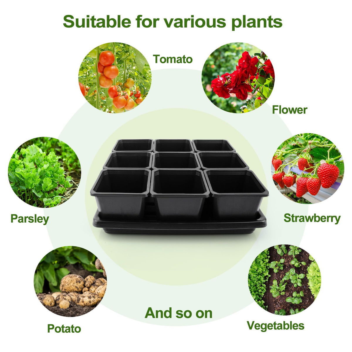 Mlhezy nursery propagation kit combines cups and trays for organized seed starting.