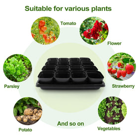 Mlhezy seed-start-kit bundles cups and trays for convenient propagation.