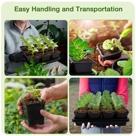 Mlhezy seed start trays without drainage holes collect excess water for easy care.