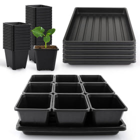 Mlhezy seedling cups 3.5-inch size deliver organized transplant-ready seedlings.