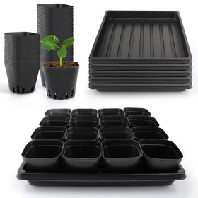 Mlhezy seedling cups 80pcs provide stable housing for seedlings on a tidy tray.