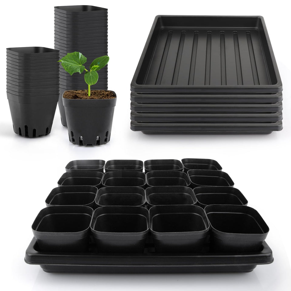 Mlhezy seedling cups 80pcs provide stable housing for seedlings on a tidy tray.