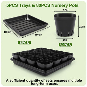 Mlhezy seedling trays 5pcs form a solid base to prevent cup shifting.