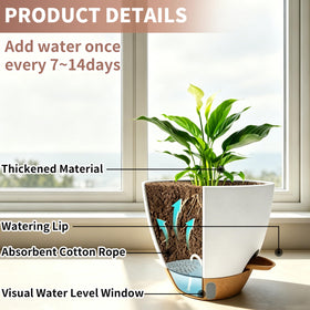 MNKXL 12-inch pot around a thriving Monstera for floor plant setup