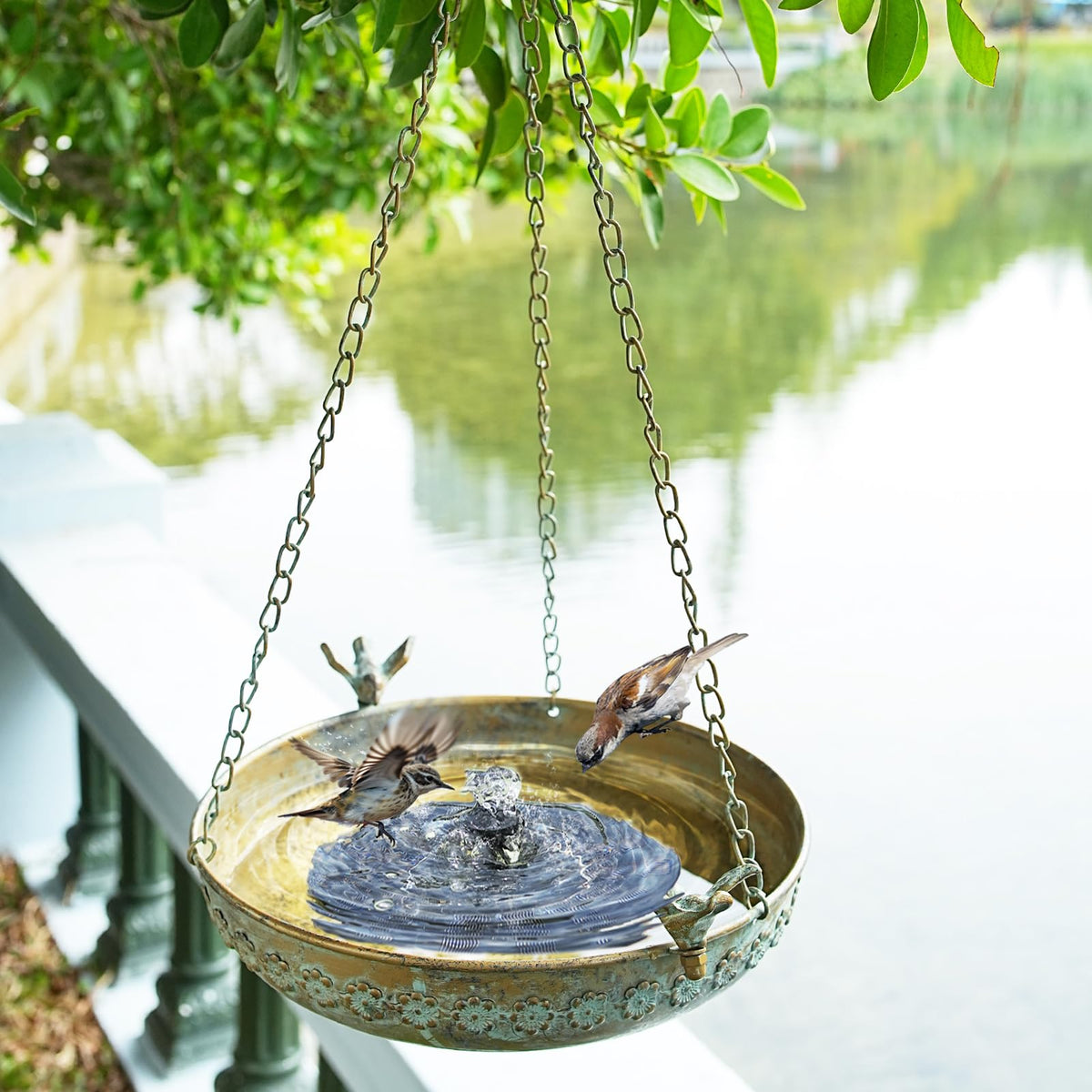 MNRYLKB 12-inch metal bowl provides ample space for bathing.