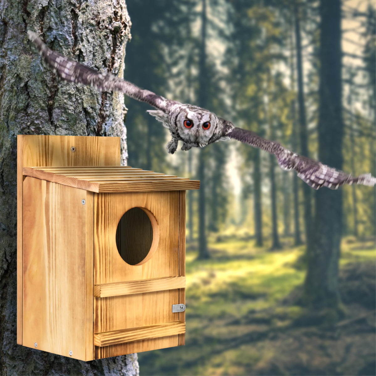 MOBYKE Screech Owl House includes bag of wood shavings