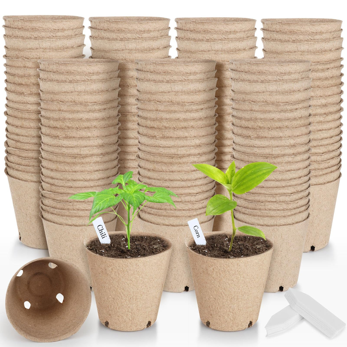 ModaSin 131 Pcs Organic Peat Pots kit for seed starting, ideal indoors.