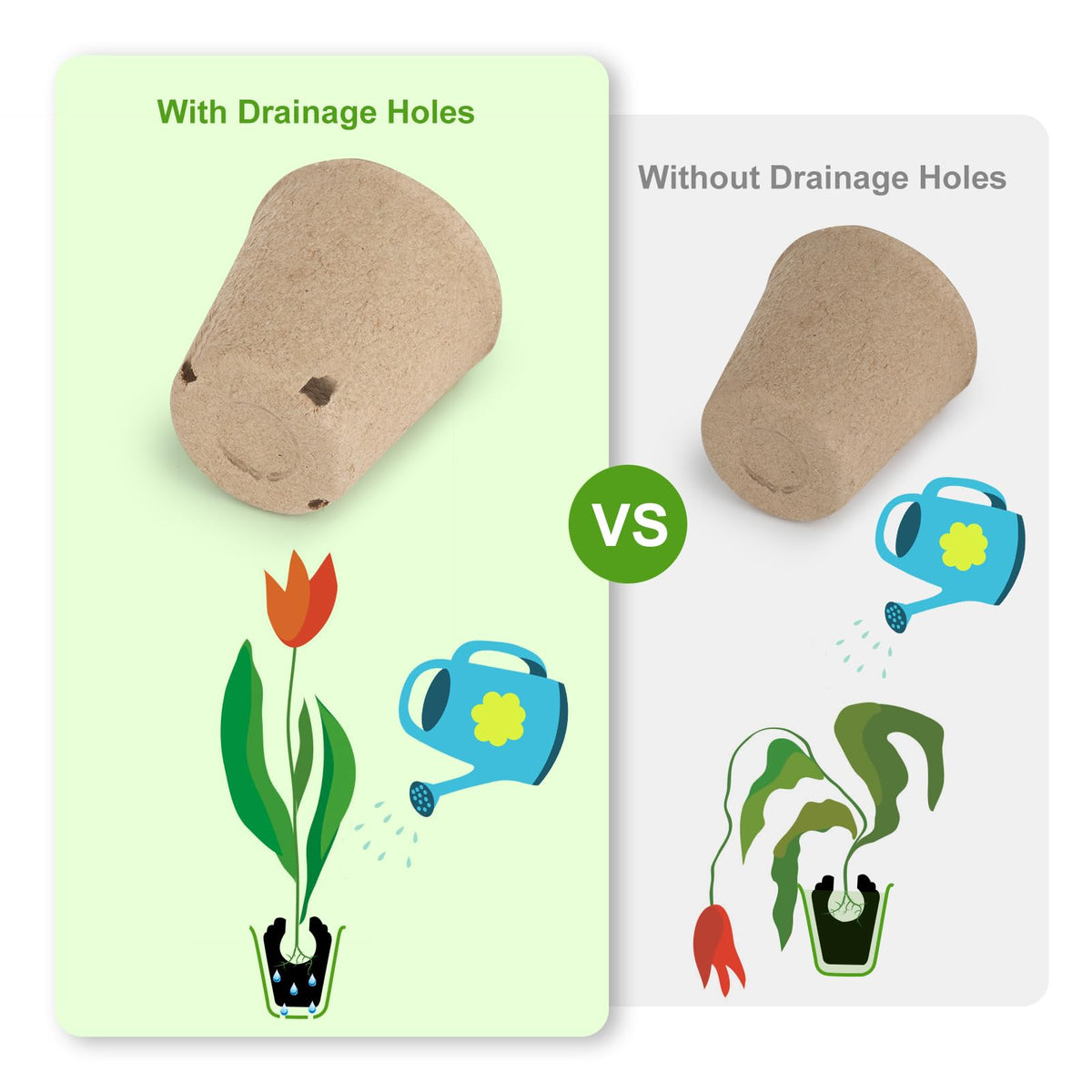 ModaSin biodegradable seed starter cups reduce transplant shock.