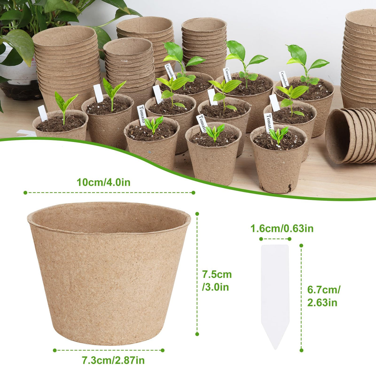 ModaSin bulk seed starter kit is family-friendly gardening