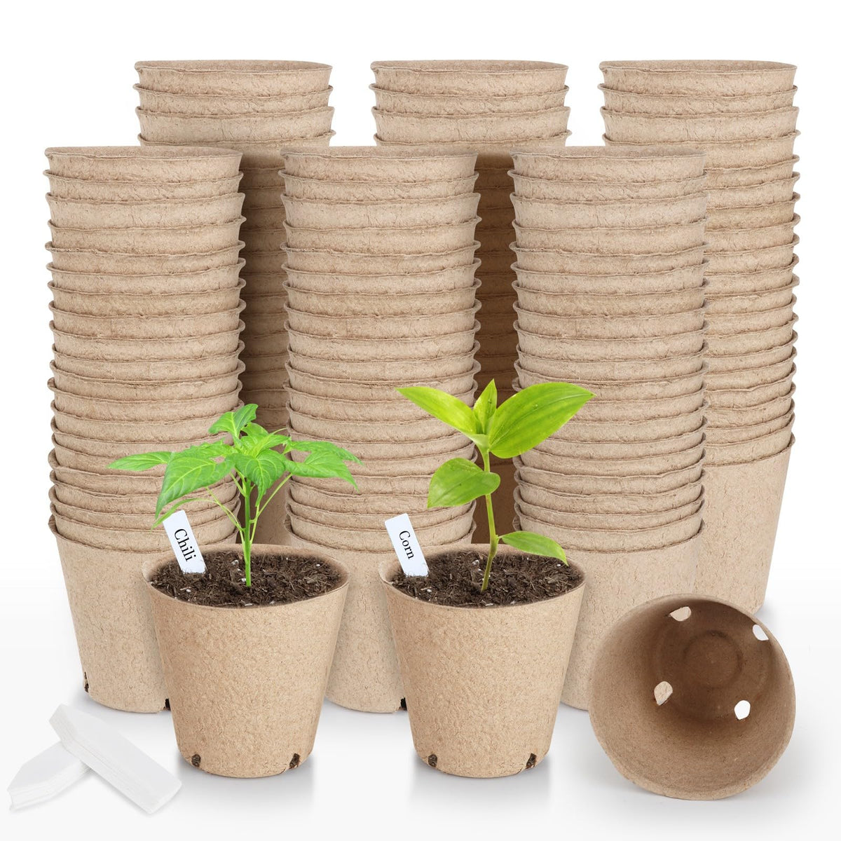 ModaSin value kit with pots and labels for family gardening.