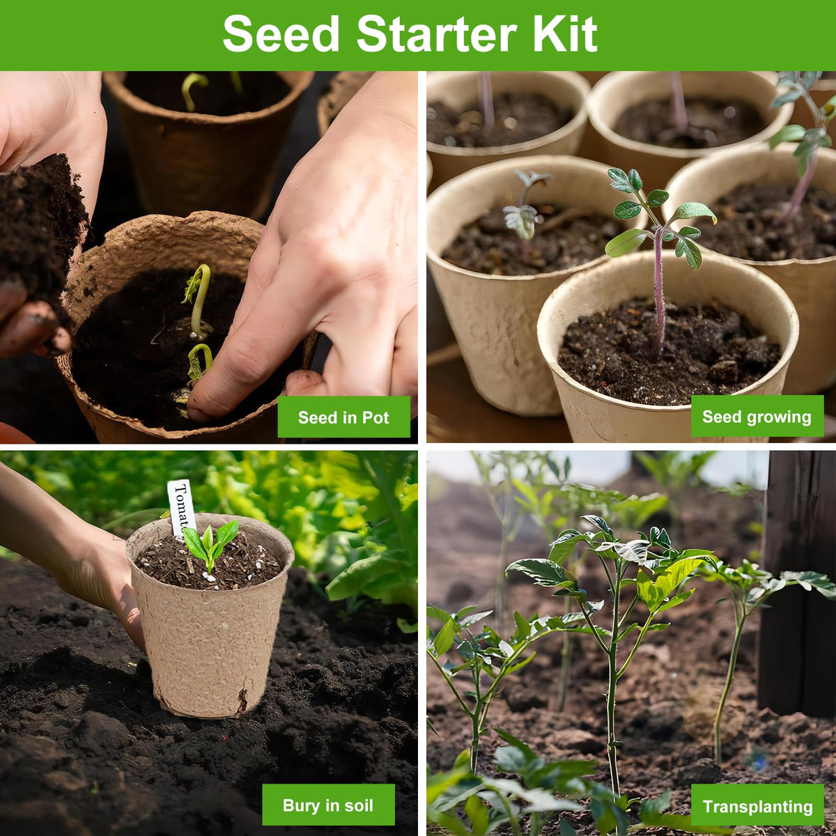 ModaSin organic pulp pots offer eco-friendly seed starting