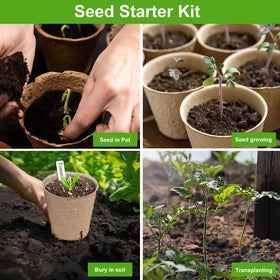 ModaSin organic pulp pots offer eco-friendly seed starting