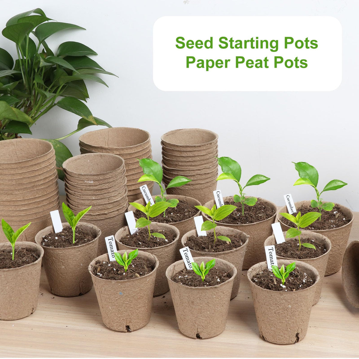 ModaSin peat pots with drainage holes promote root health