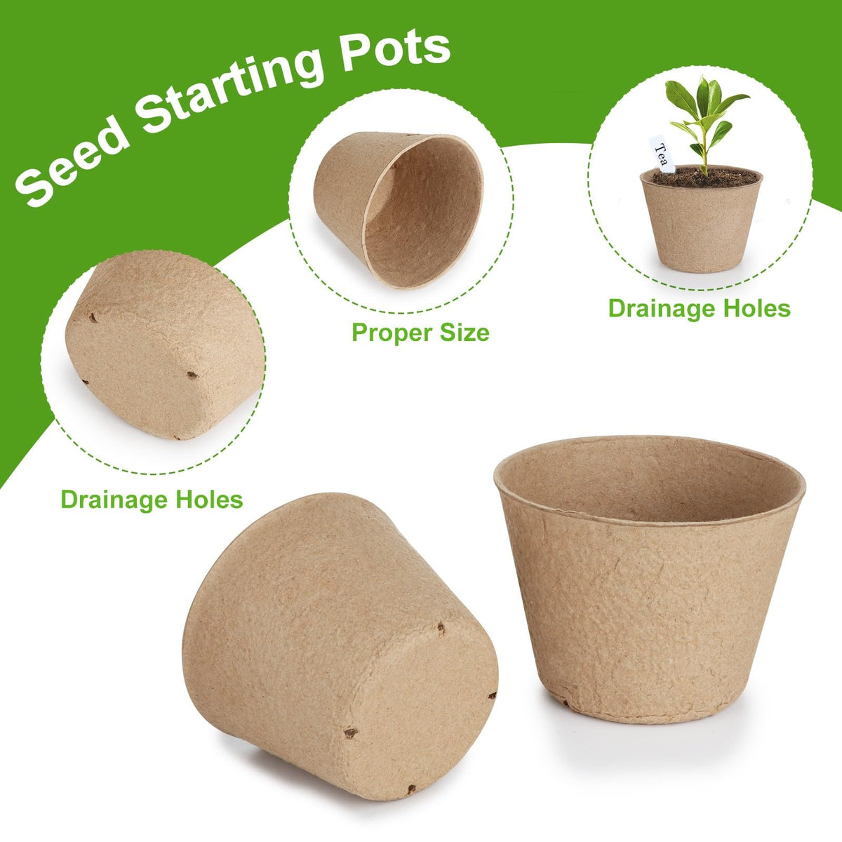 ModaSin seedling pots facilitate smooth transplanting into soil