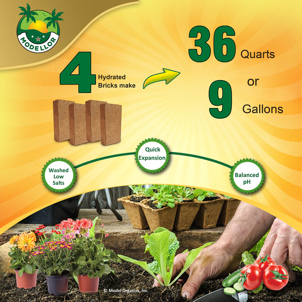 MODELLOR coco coir ideal for vegetables and herbs in containers