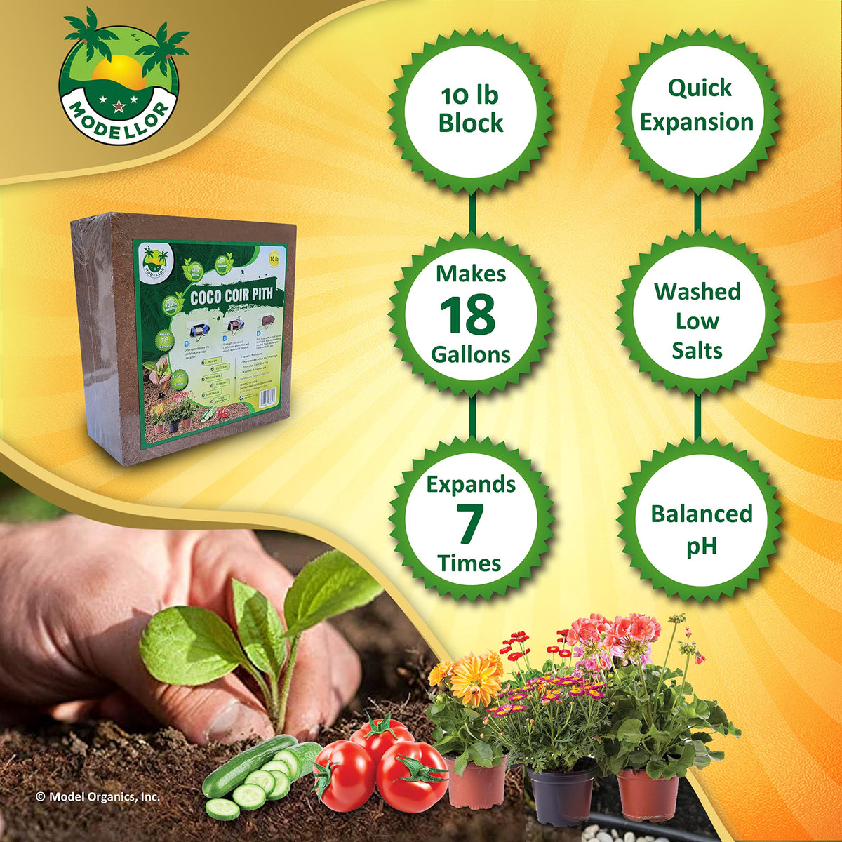 MODELLOR coco coir for vegetables and orchids in a growing setup