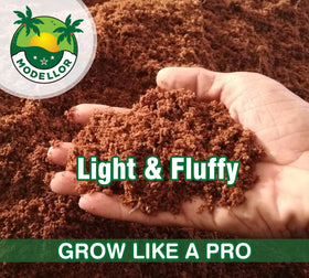 MODELLOR coco coir seed starting medium supports faster germination