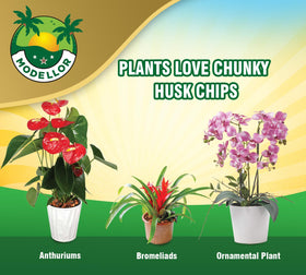 MODELLOR Coco Chips orchid-mulch boosts aeration for roots