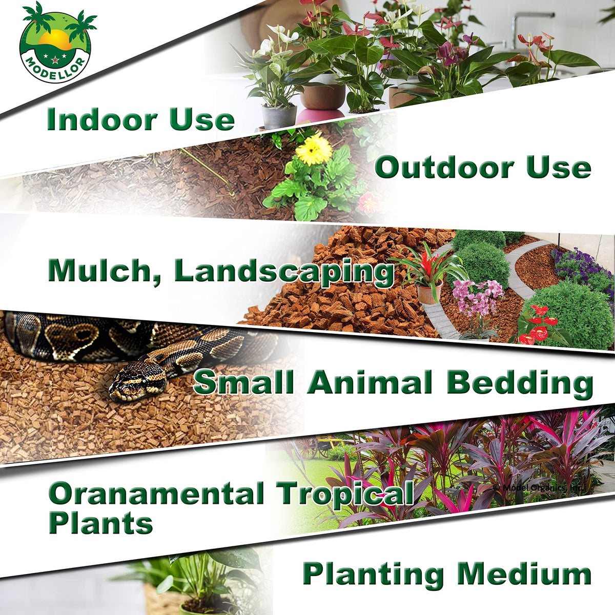 MODELLOR Coco Chips soft-habitat provides comfortable reptile bedding