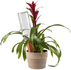 Modern Innovations spike connects to bottle water source for easy travel plant care