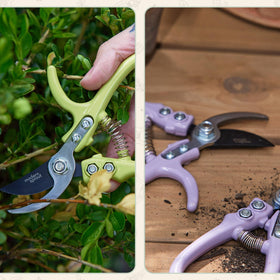 Modern Sprout compact terrace-pruner fits balcony gardens and tight spaces.