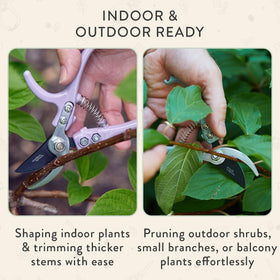 Modern Sprout precision tip handles roses and hydrangeas with care.
