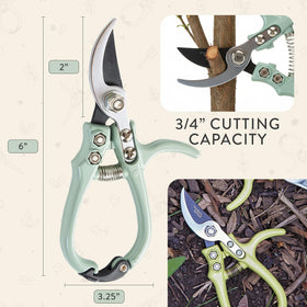 Modern Sprout rose-trimmer shows clean cuts on flowering stems.