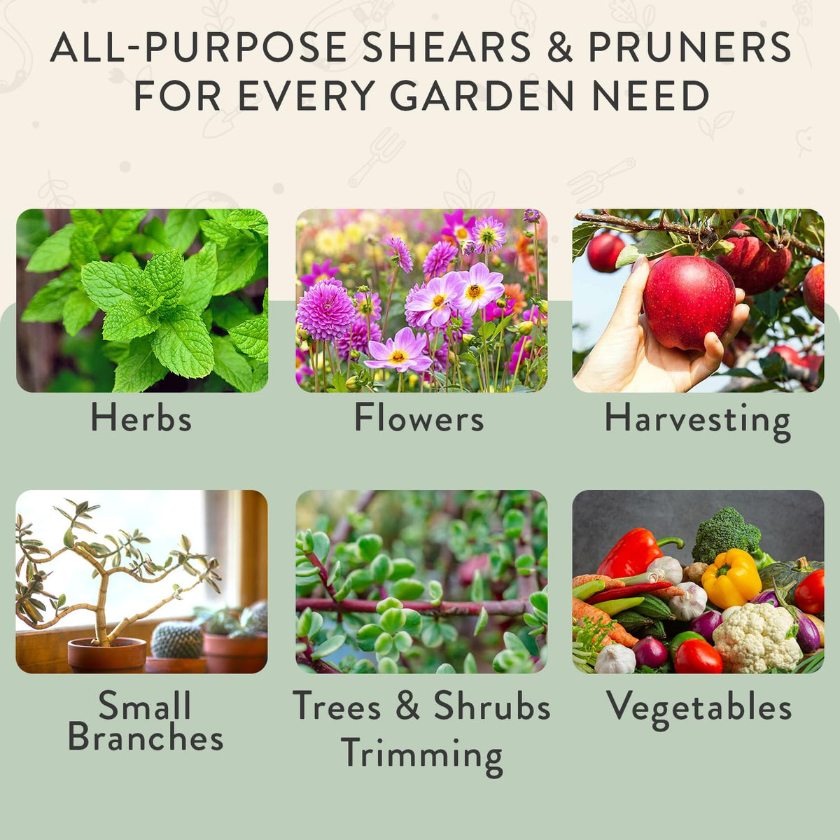 Includes pruner and shears for a complete pruning duo.