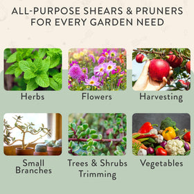 Includes pruner and shears for a complete pruning duo.