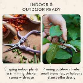 Modern Sprout precision snipping ideal for herbs and delicate flowers.