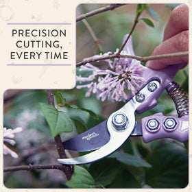 Modern Sprout pruners and shears blades for clean, healthy cuts.