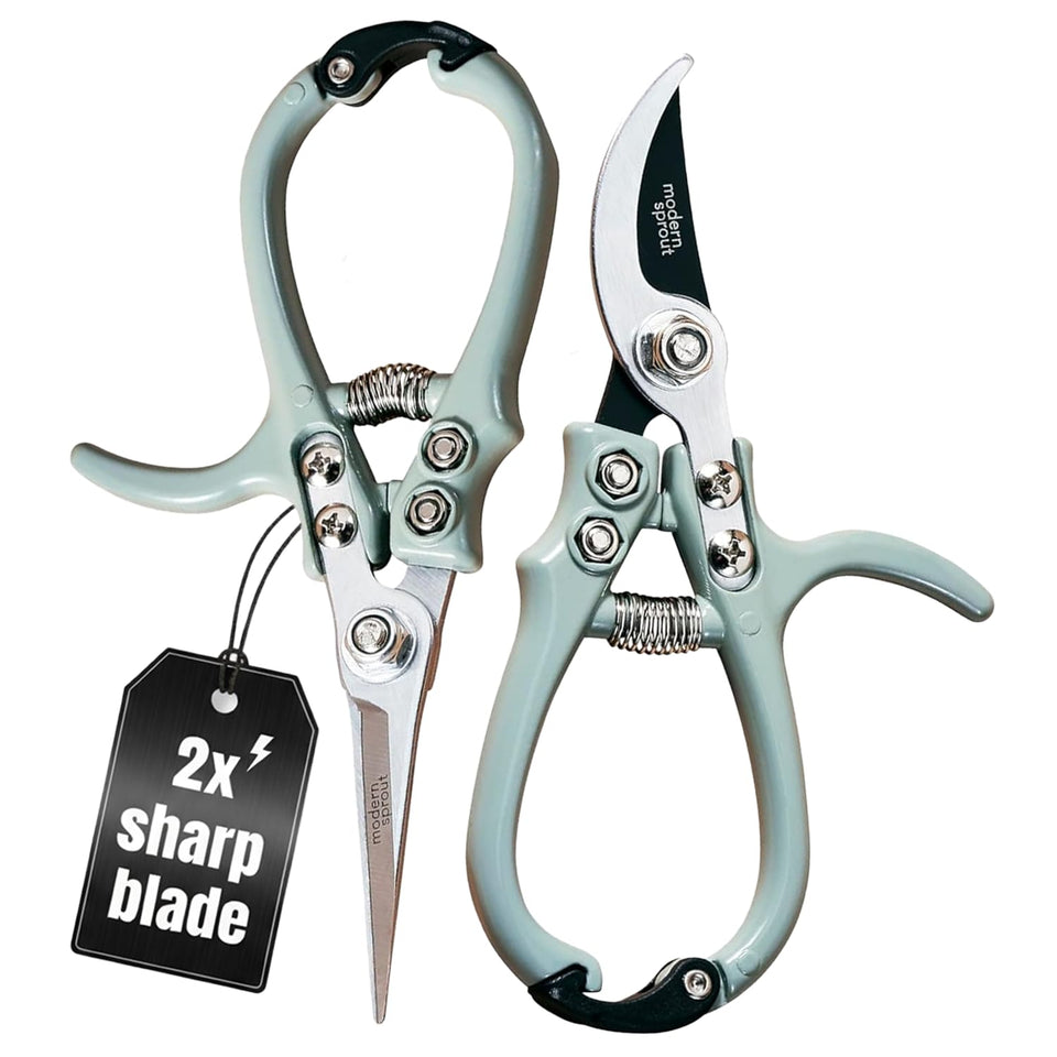 Modern Sprout pruner and shears set in Sage blister pack for versatile garden maintenance.