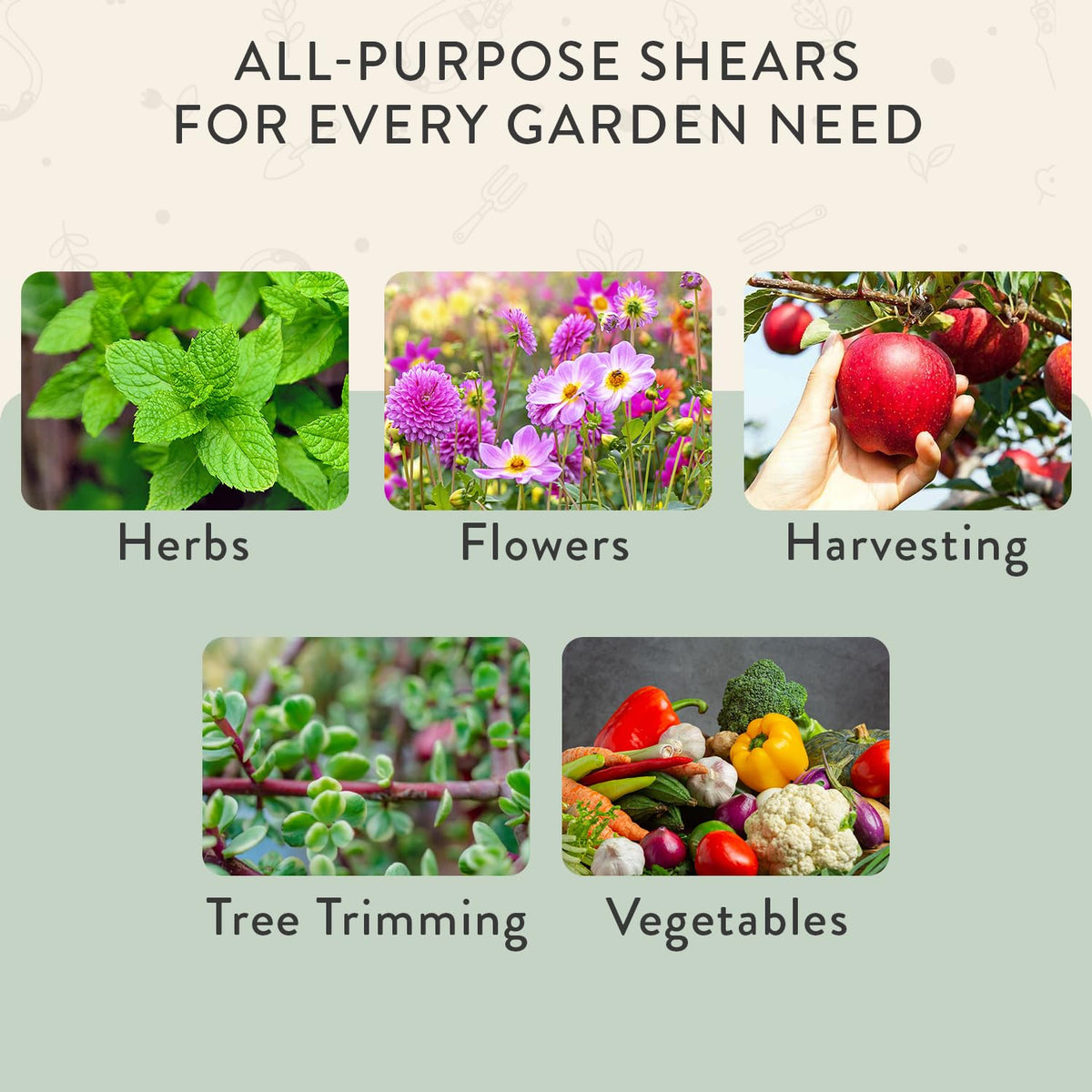 Modern Sprout Pruning Shears high-carbon steel blade durability for daily gardening.