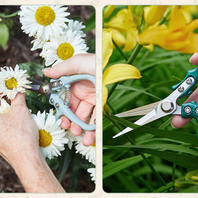Modern Sprout Pruning Shears holster included for convenient kit storage.