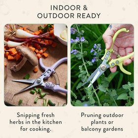 Modern Sprout Pruning Shears narrow tip enables delicate stem trimming.