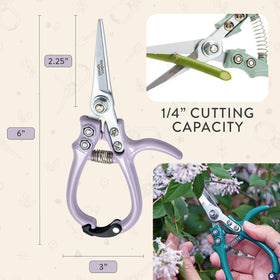 Modern Sprout pruning shears basil-cutting close-up illustrating precision