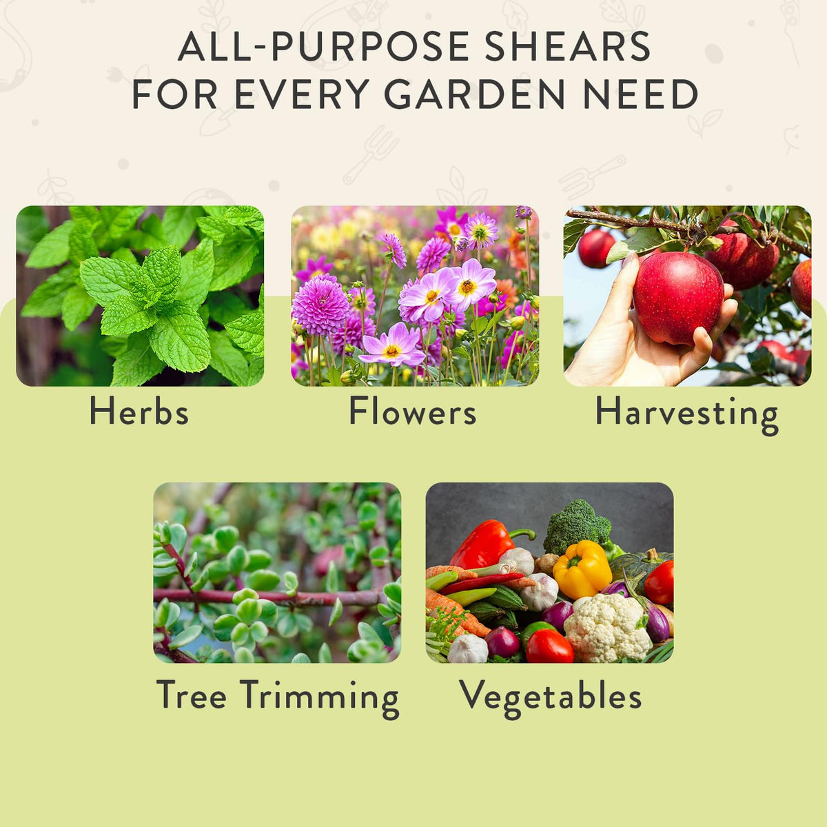 Modern Sprout shears reach tight spots on bonsai and stems.