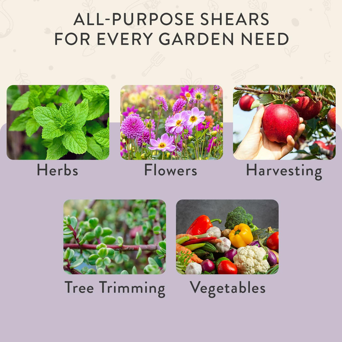 Modern Sprout pruning shears in pot trimming delicate stems