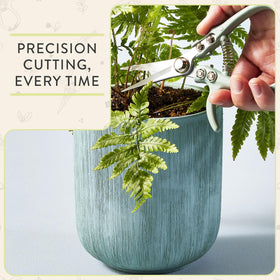 Modern Sprout needle-nose blade precision cuts fine stems like basil.